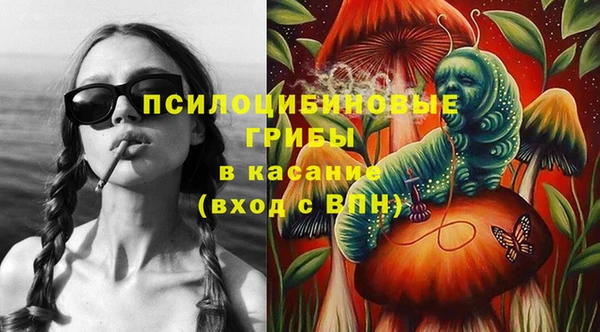 крисы Абдулино