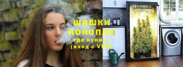 крисы Абдулино