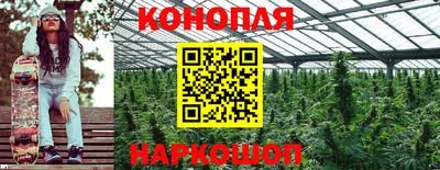 ALPHA PVP Жуковский