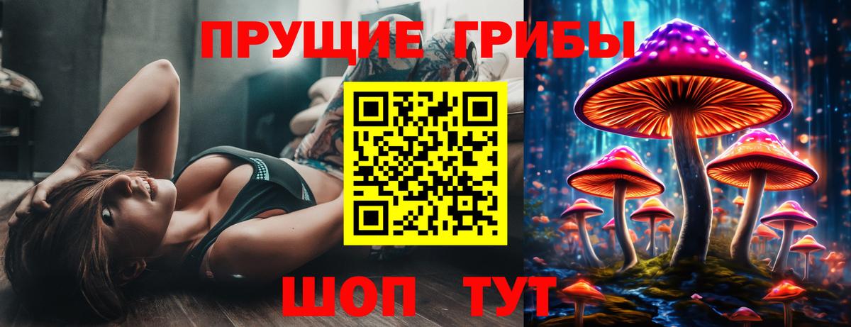 Галлюциногенные грибы Cubensis Мурино