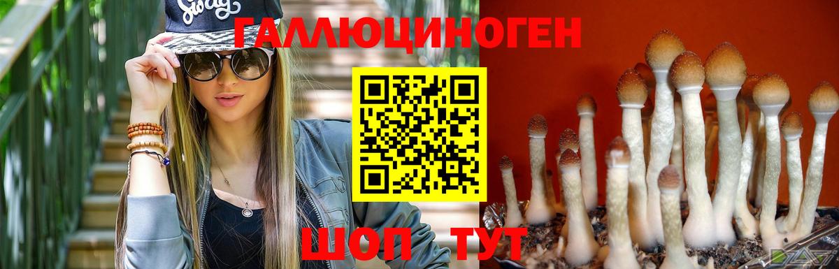 Мурино  как найти закладки  Вход с VPN  Псилоцибиновые грибы Magic Shrooms 